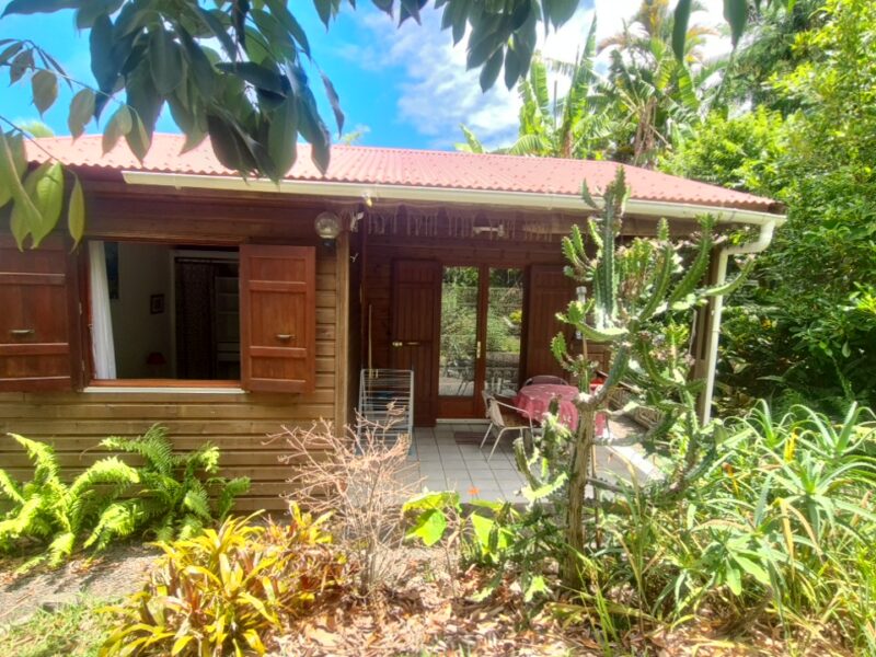 Bungalow T2 Papaye
